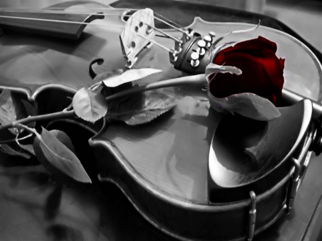 Essay on history of the violin